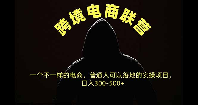 跨境电商联营,一个不一样的电商,普通人可操作日入300-500+-造梦栈