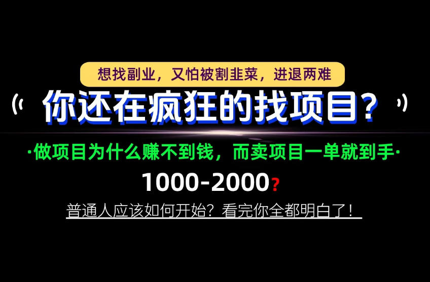 你还在疯狂的找项目？别傻了！卖项目才是真正的一本万利！怎么做，看完你全都明白！【揭秘】-造梦栈