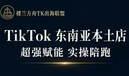 三叔·TikTok东南亚本土店实操(更新8月)-造梦栈