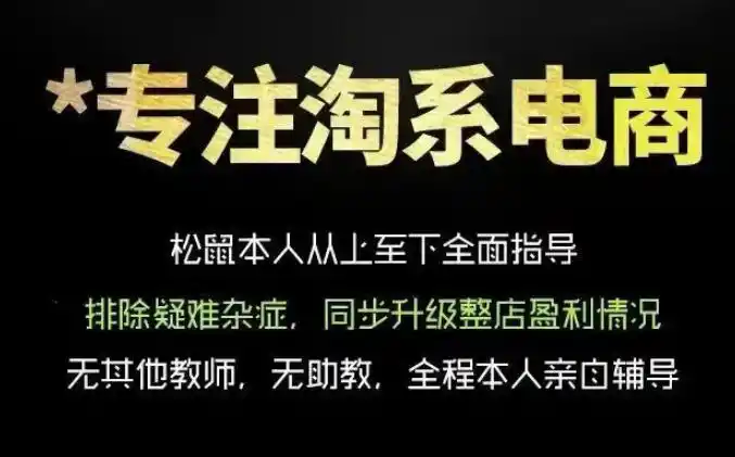 松鼠会电商VIP课程，从基础布局到高阶优化，助你掌握淘宝运营逻辑，提升店铺流量与转化(更新0809)-造梦栈