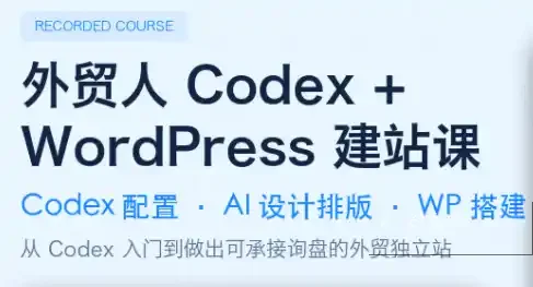 大卫·外贸人Codex + WordPress建站课(更新8月)-造梦栈
