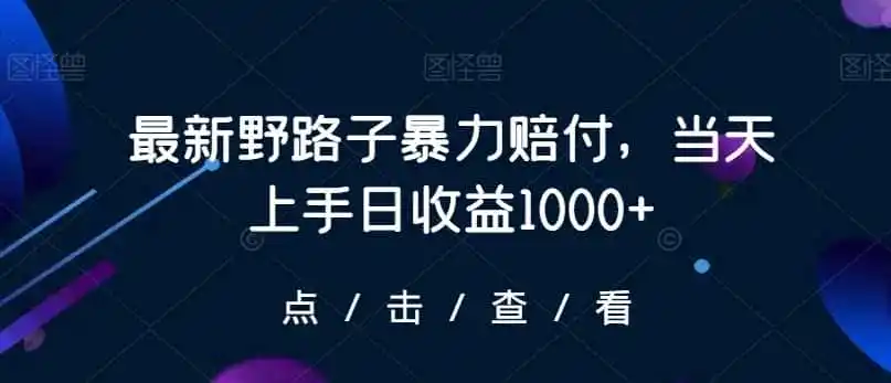最新野路子暴力赔付，当天上手日收益1000+【仅揭秘】-造梦栈