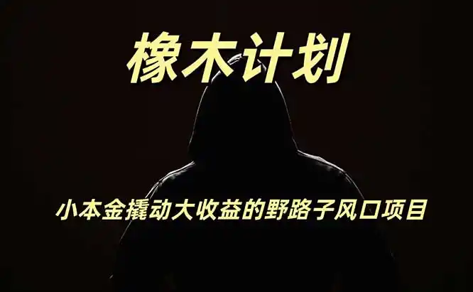 橡木计划，小投入撬动高回报的风口野路子项目，一天投入2小时左右-造梦栈