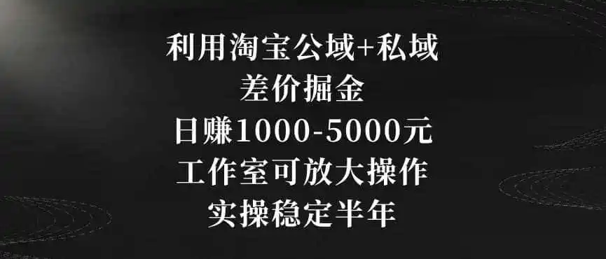 利用淘宝公域+私域差价掘金，日赚1000-5000元，工作室可放大操作，实操稳定半年【揭秘】-造梦栈
